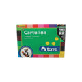 Carpeta Con Papel Cartulina 26.5 X 37.5 cm 18 Pliegos 14 Colores