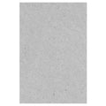 CARTON PIEDRA GRIS 3.0 MM 55 X 77 CM