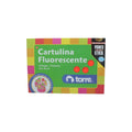 Carpeta Con Papel Cartulina Fluorescente 26 X 38 cm 6 Pliegos 6 Colores